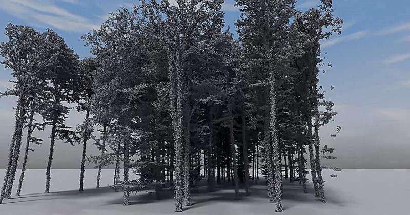AI helps find trees in a forest: Researchers achieve 3D forest reconstruction from remote sensing data