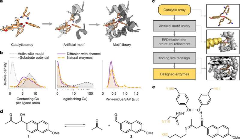 New AI method revolutionizes the design of enzymes