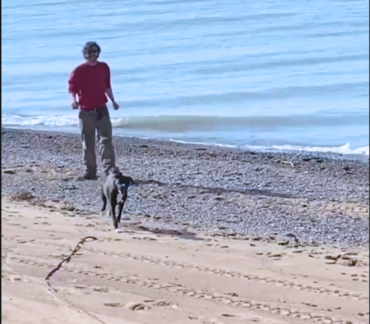 The Process of Building TidesDB